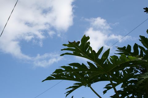 空