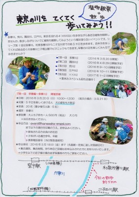 多摩川フライヤー