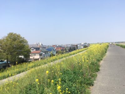 IMG_3861