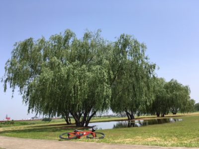 IMG_4092.JPG