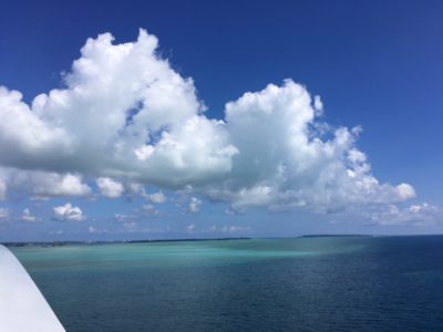 IMG_4544.JPG