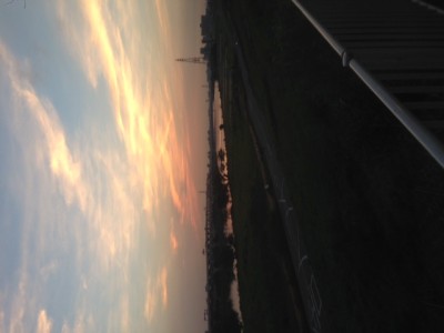 IMG_6703 IMG_6703.JPG