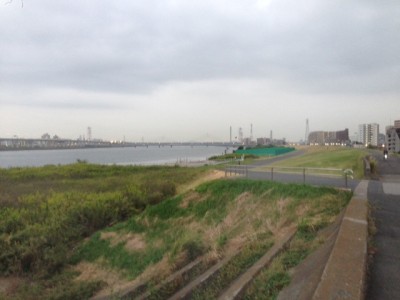 IMG_6869 IMG_6869.JPG