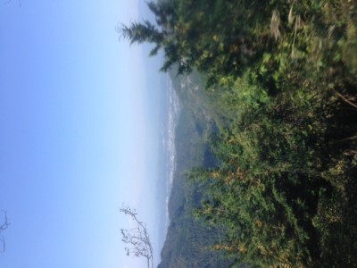 IMG_6951.JPG