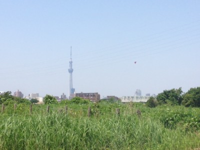 IMG_7780.JPG