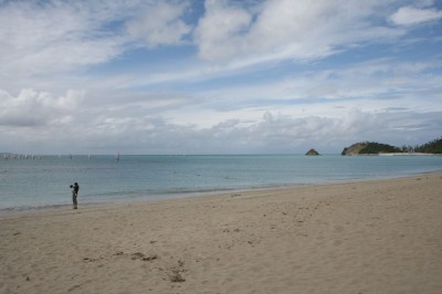 IMG_8595