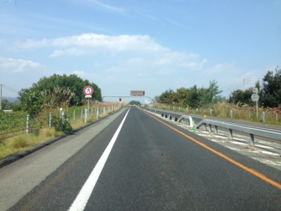 IMG_8768.JPG