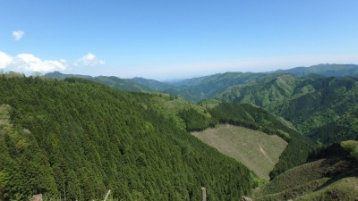 P5040211