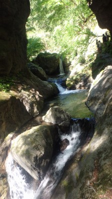P5040222