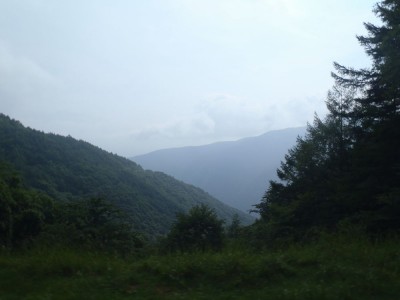 P7292009