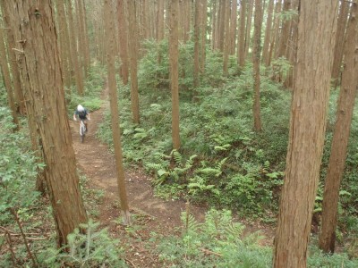 P8040405
