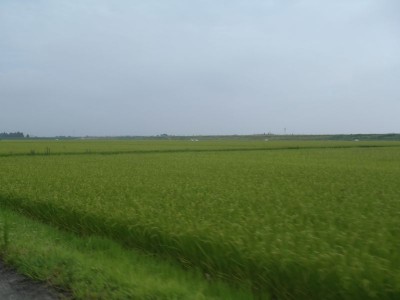 P8122036