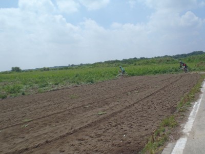 P8122051