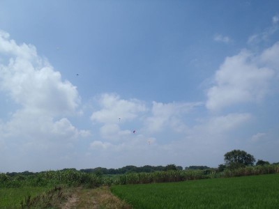 P8122052