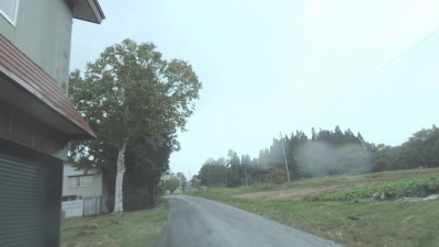 PA110301