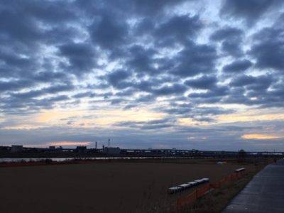 IMG_5987.JPG