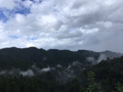 IMG_7424_2.JPG