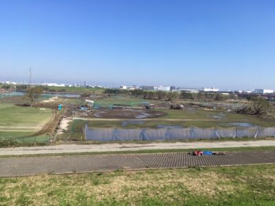 IMG_7571.JPG